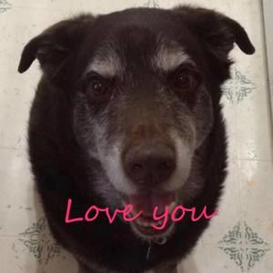 Meet your Posher, Kerri-ann